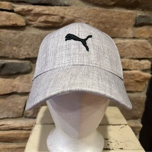 Puma Gray‎ ball Cap flex